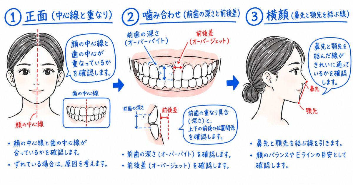 鏡でできる歯並びセルフチェックの手順｜正面・かみ合わせ・横顔の順に見る